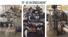 青島羅德凸輪轉子泵 青島羅德凸輪轉子泵