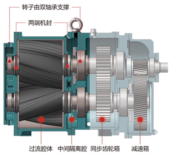 轉(zhuǎn)子泵雙支撐軸設(shè)計 轉(zhuǎn)子泵雙支撐軸設(shè)計