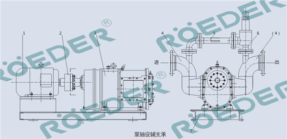 自吸轉(zhuǎn)子泵圖紙2018091101 自吸轉(zhuǎn)子泵圖紙2018091101