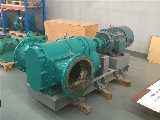 轉(zhuǎn)子泵 轉(zhuǎn)子泵