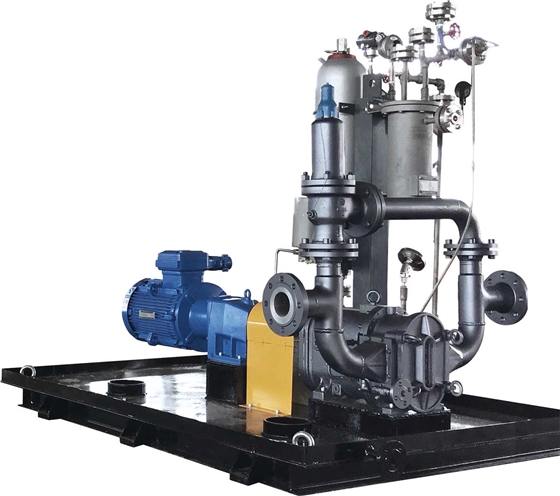 凸輪轉(zhuǎn)子泵 凸輪轉(zhuǎn)子泵