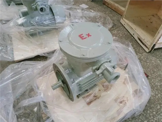 防爆電機(jī) 防爆電機(jī)