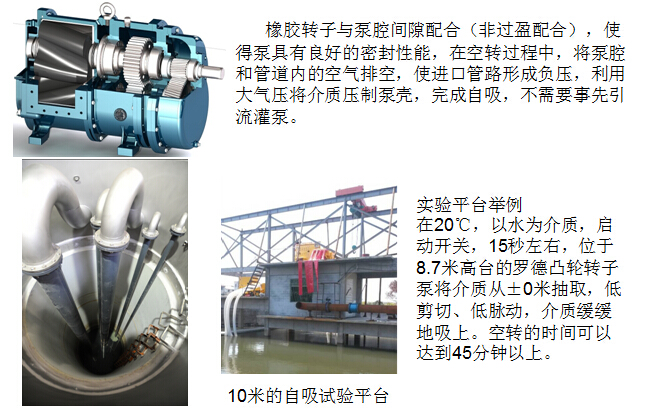 凸輪轉(zhuǎn)子泵 凸輪轉(zhuǎn)子泵