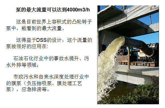 凸輪轉(zhuǎn)子泵 凸輪轉(zhuǎn)子泵