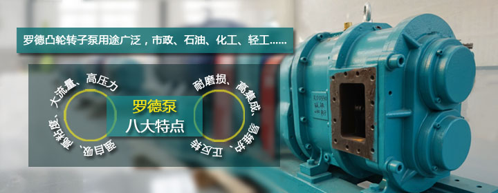 羅德轉(zhuǎn)子泵特點(diǎn)解析2016032201 羅德轉(zhuǎn)子泵特點(diǎn)解析2016032201