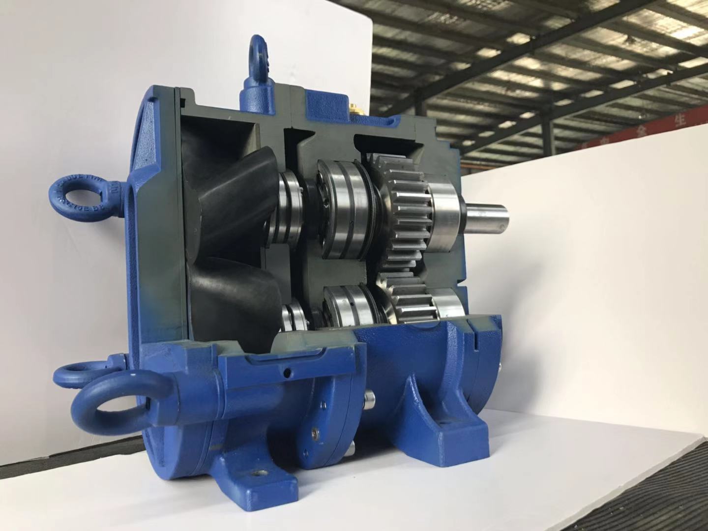 轉(zhuǎn)子泵 轉(zhuǎn)子泵