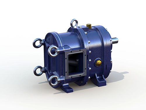 轉(zhuǎn)子泵 轉(zhuǎn)子泵