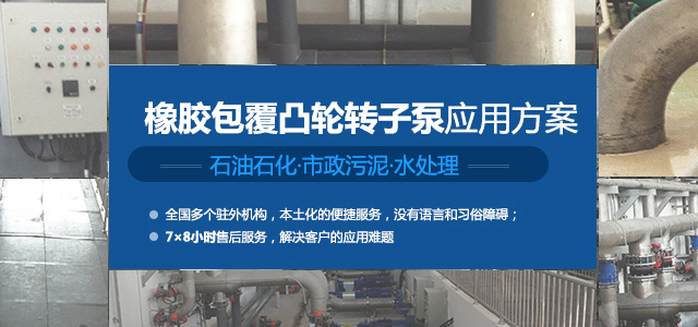 專(zhuān)業(yè)的凸輪轉(zhuǎn)子泵應(yīng)用方案提供者和服務(wù)的創(chuàng)新領(lǐng)袖